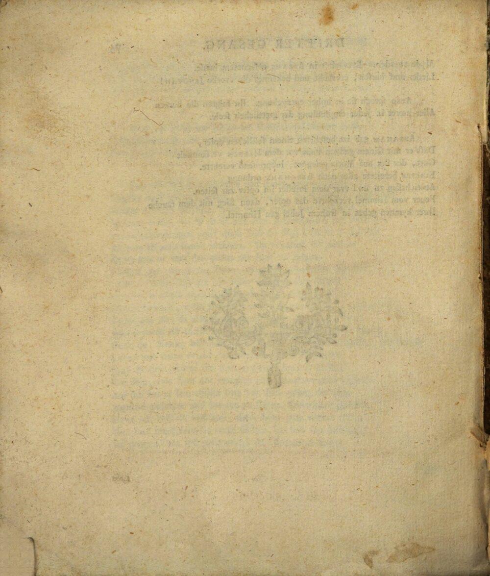 Image 00082