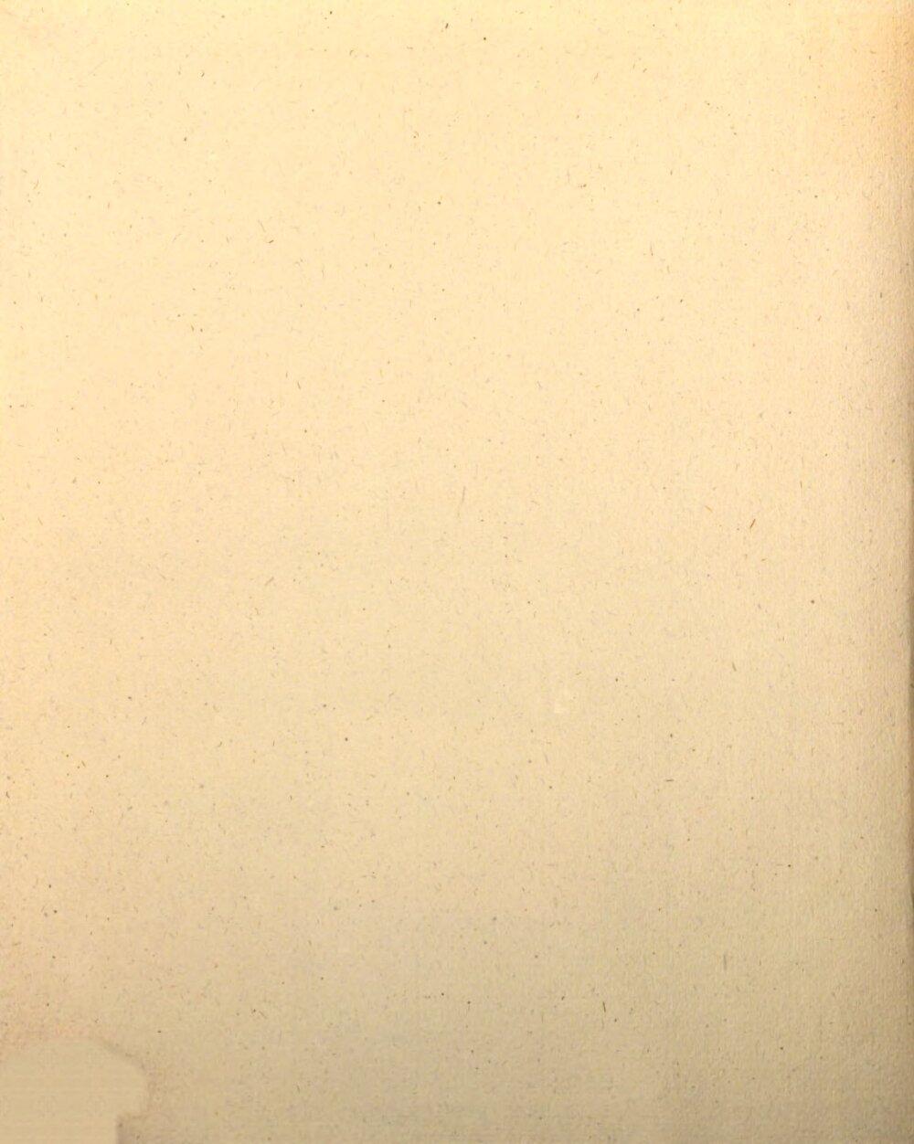 Image 00004