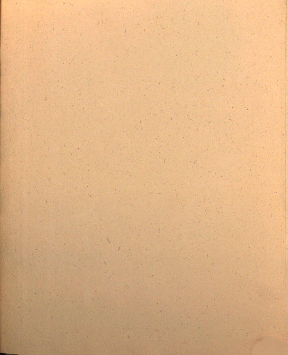 Image 00059