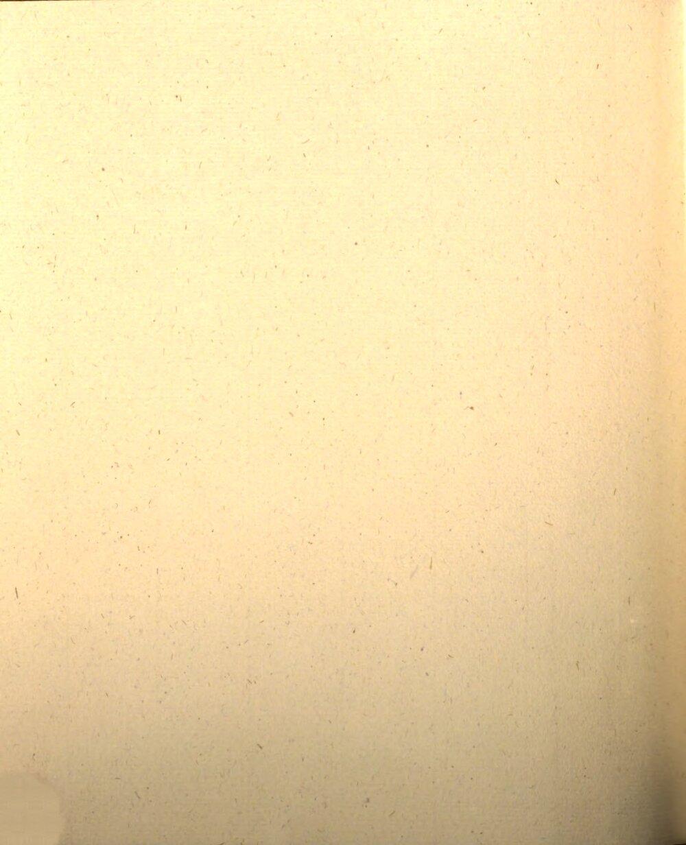 Image 00060