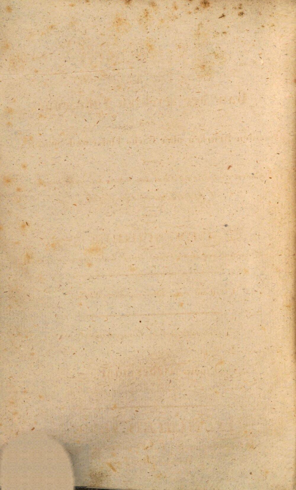 Image 00004