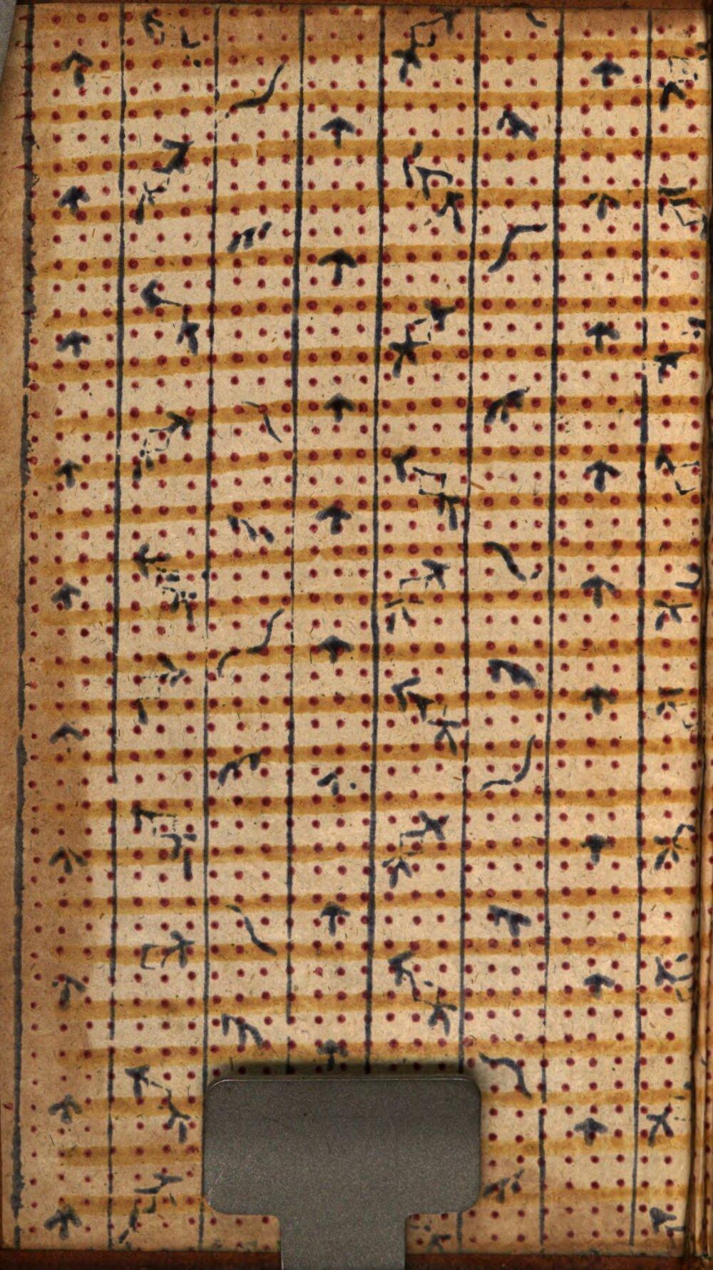Image 00002