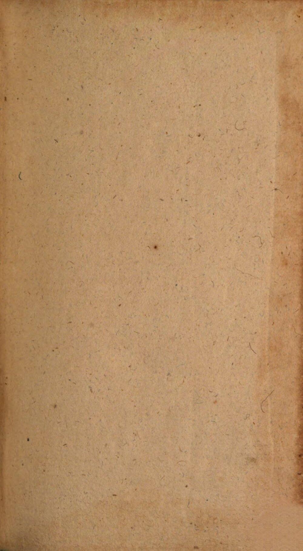 Image 00005