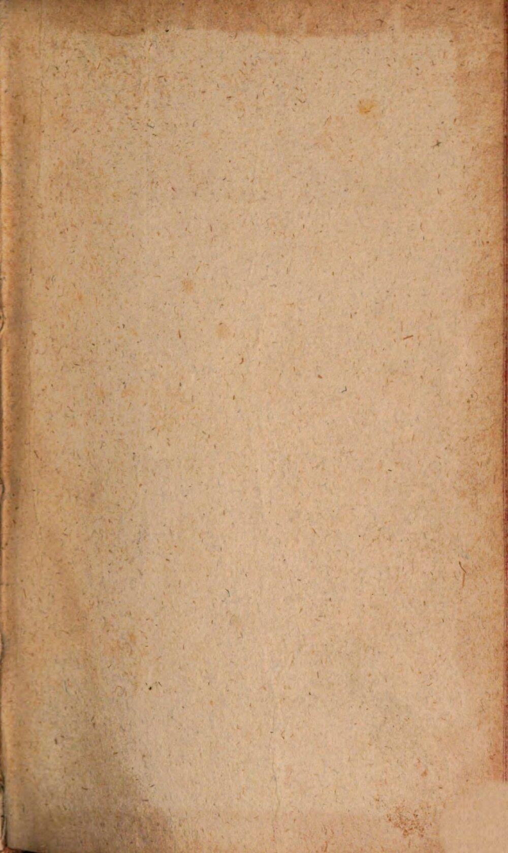 Image 00003