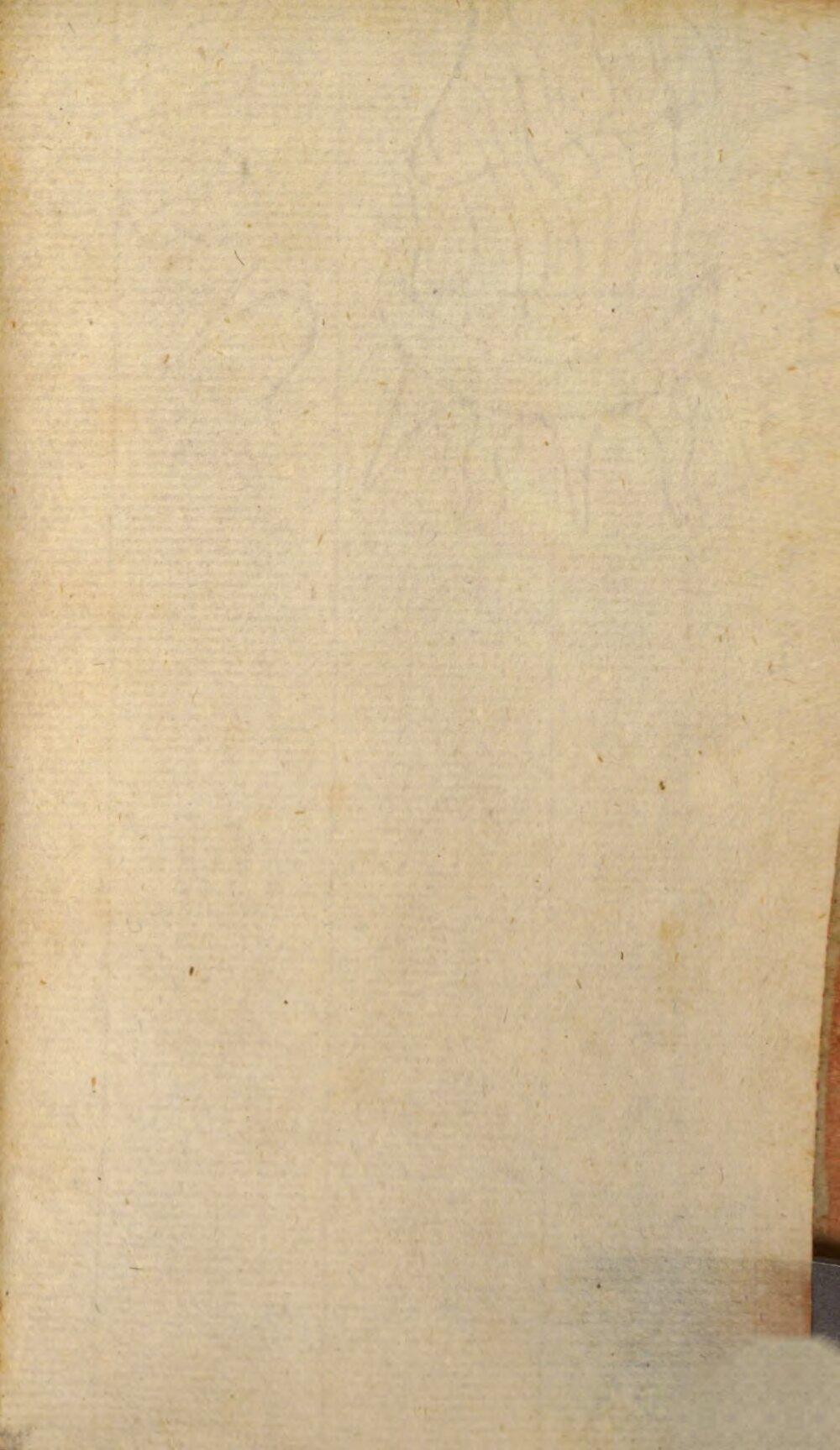 Image 00521