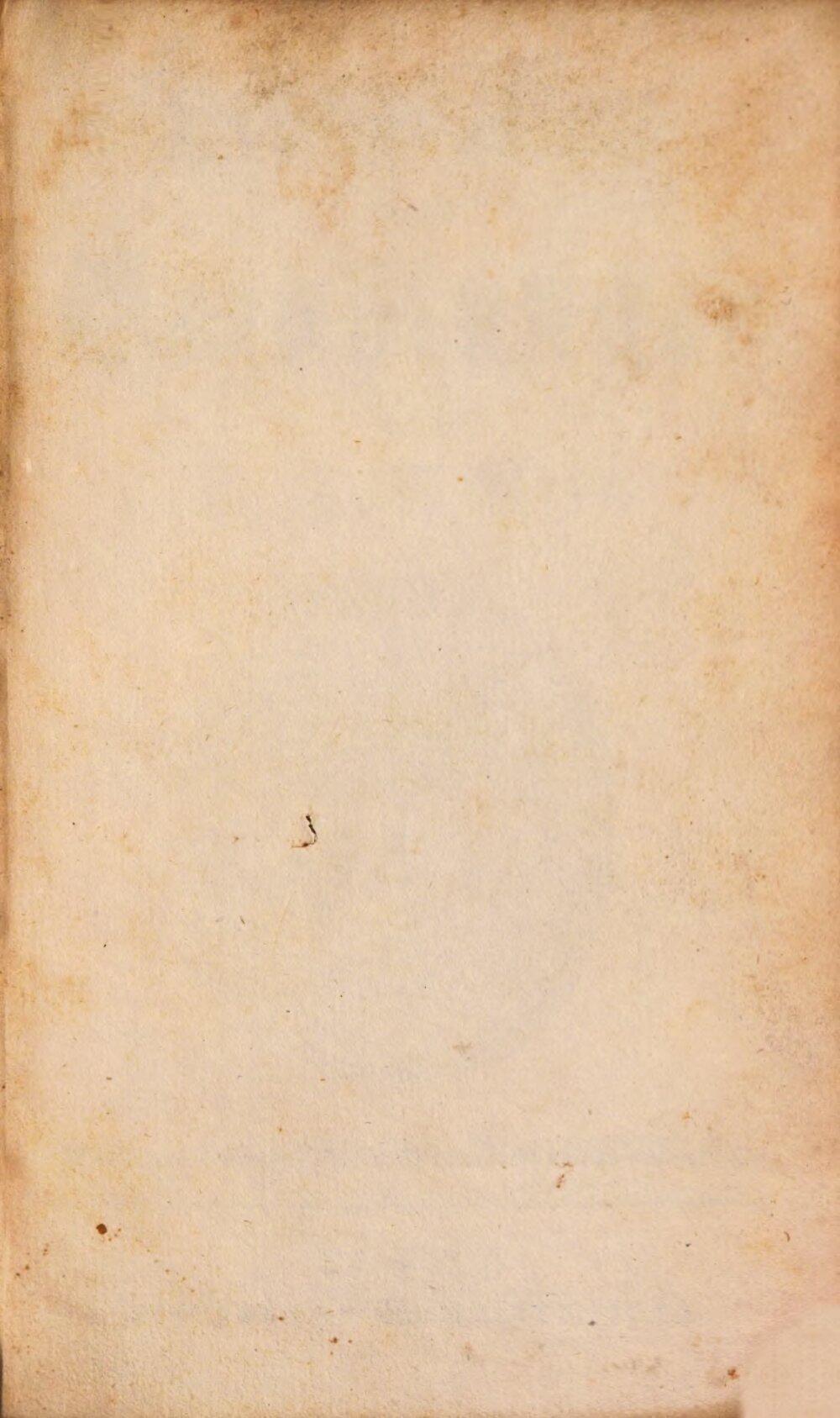Image 00005