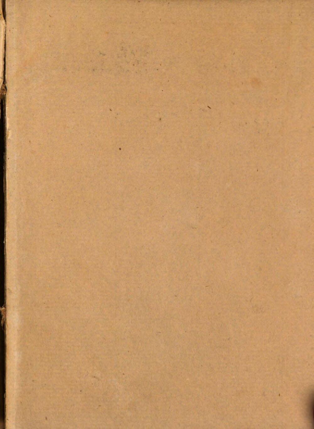 Image 00003