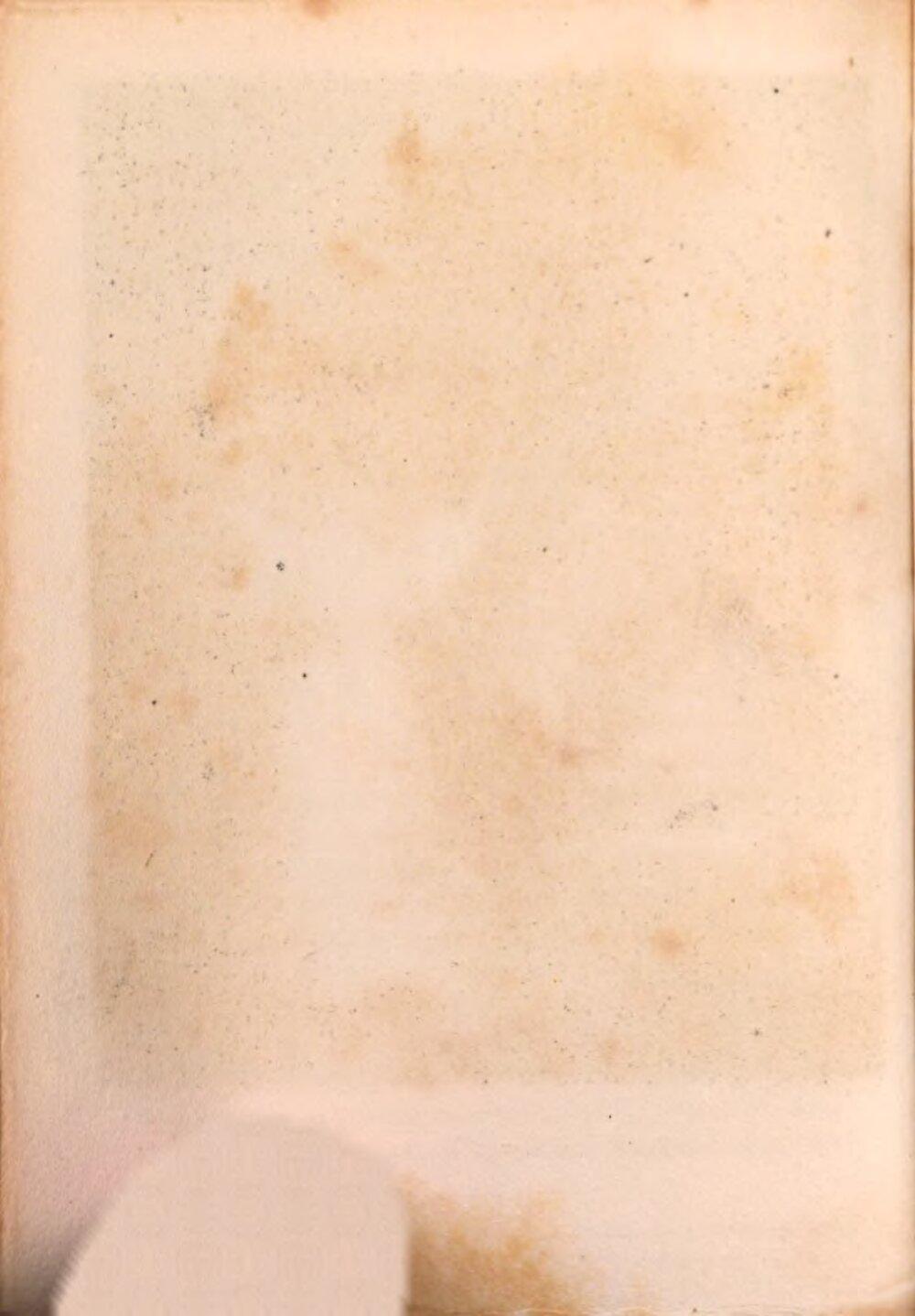 Image 00030
