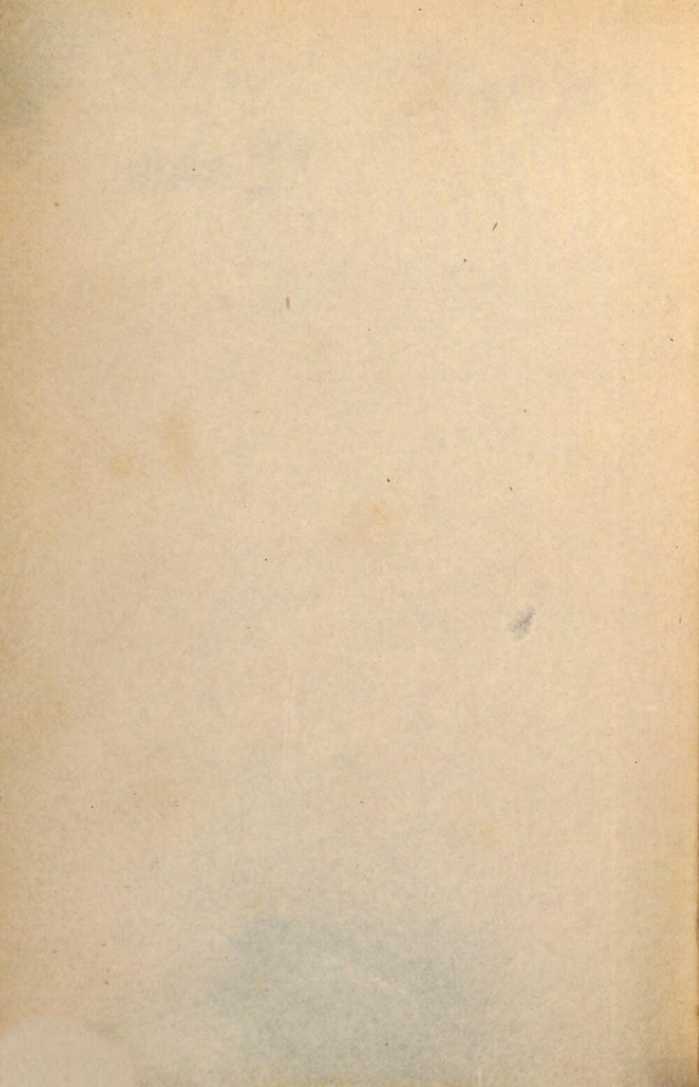 Image 00004
