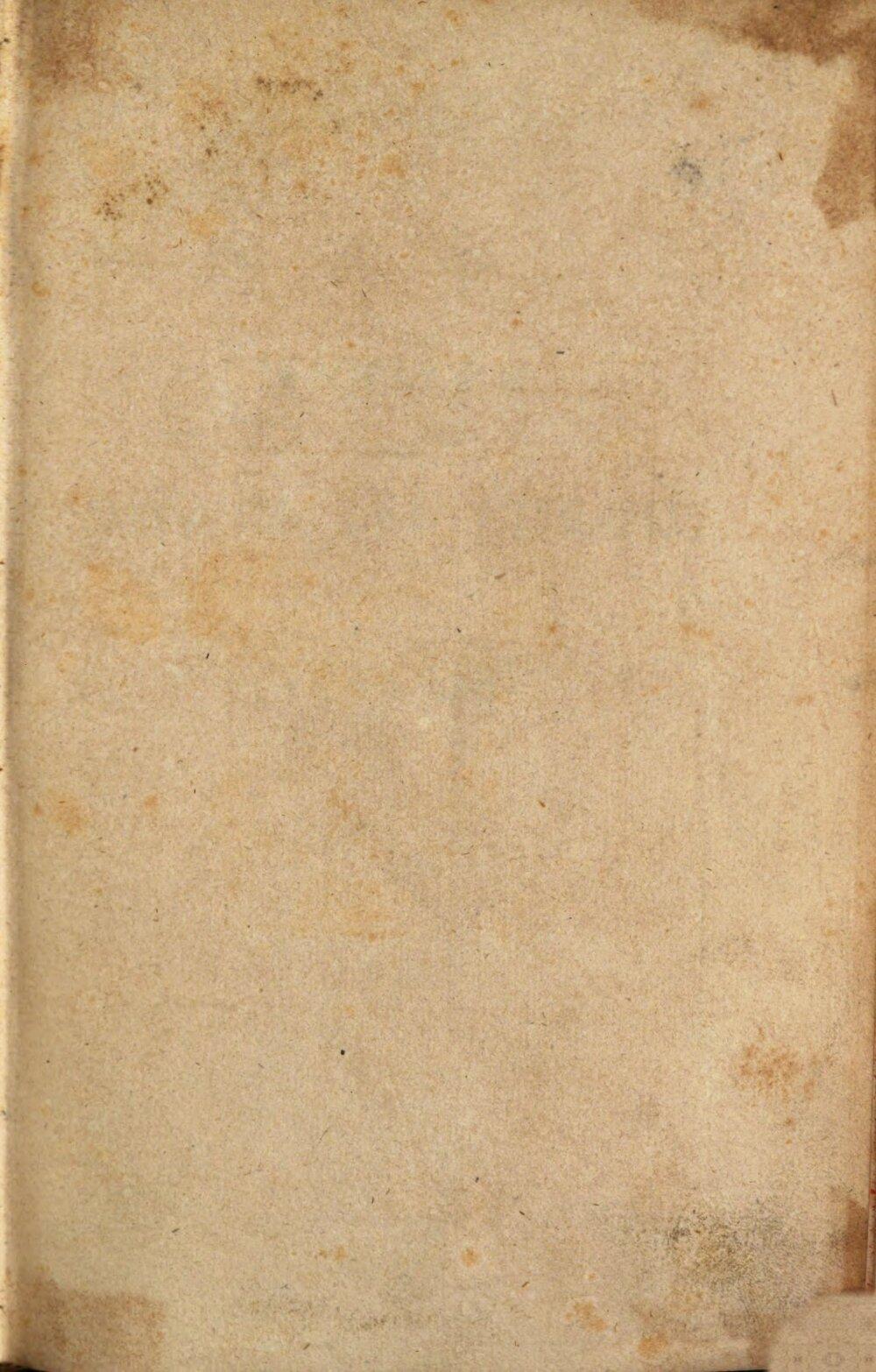 Image 00003