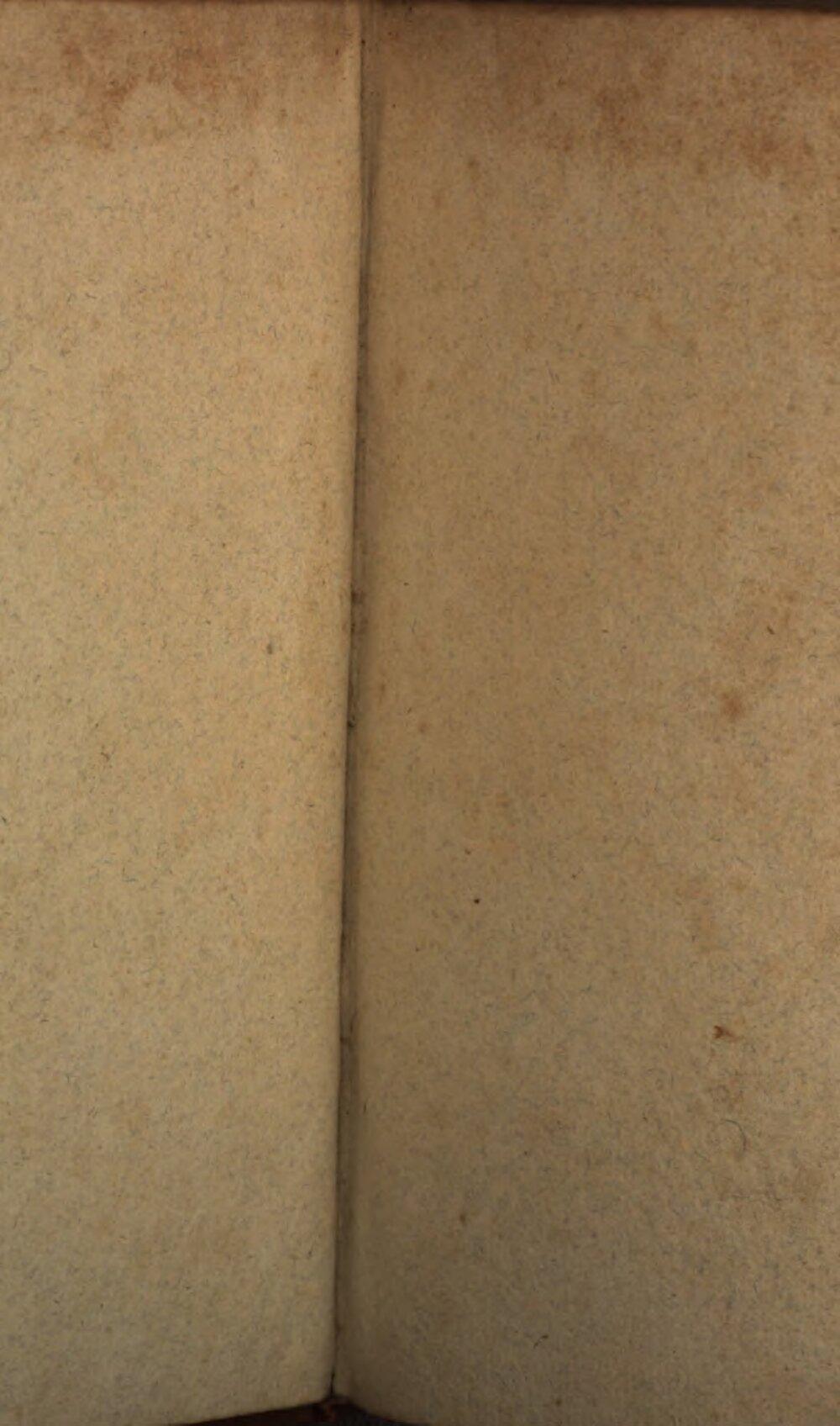 Image 00003