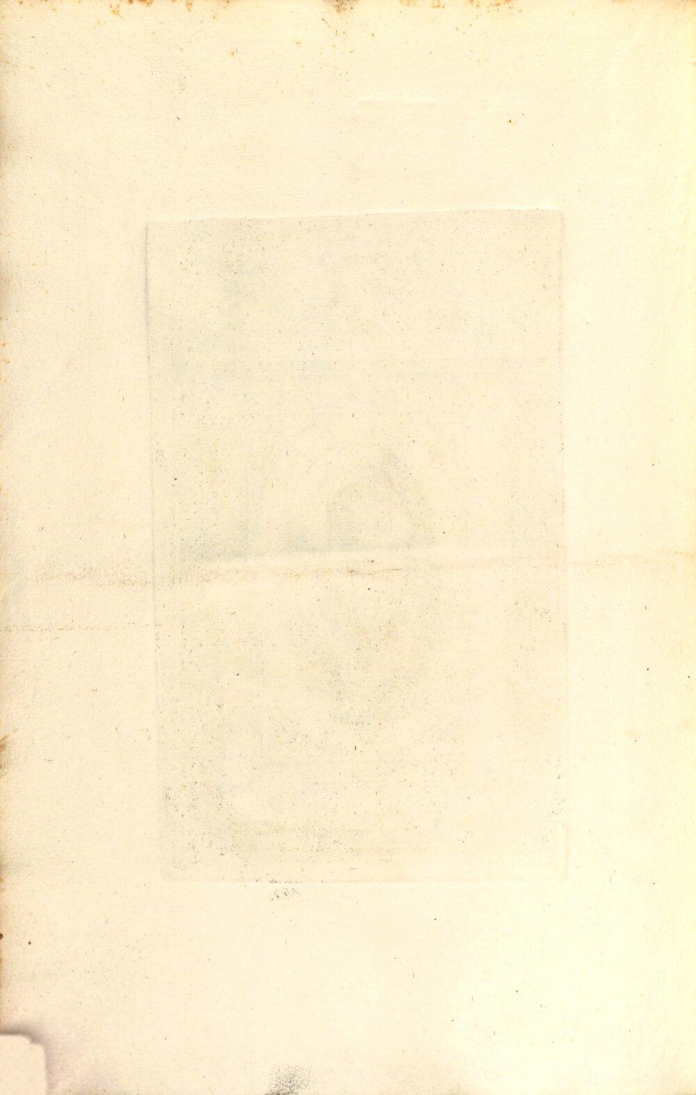 Image 00010
