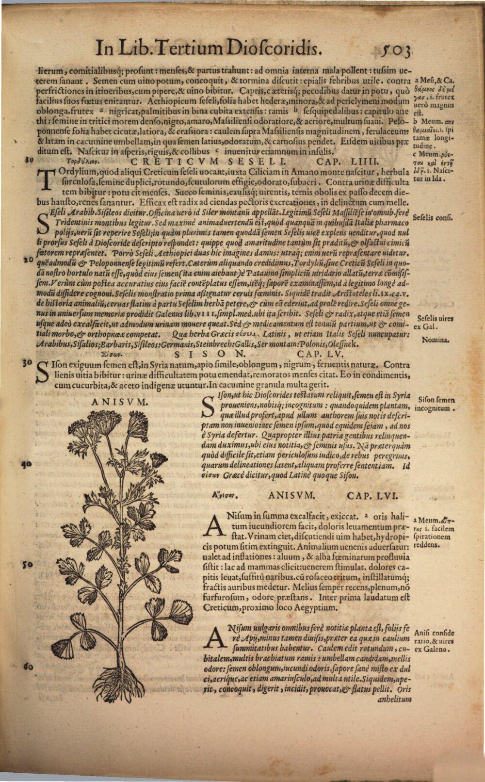 Image 00671