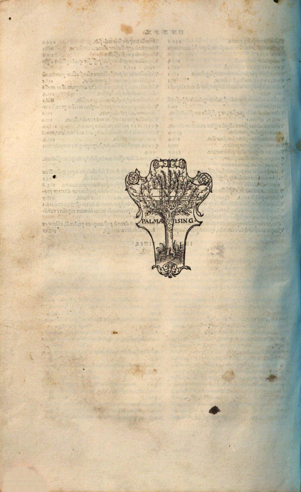 Image 00332