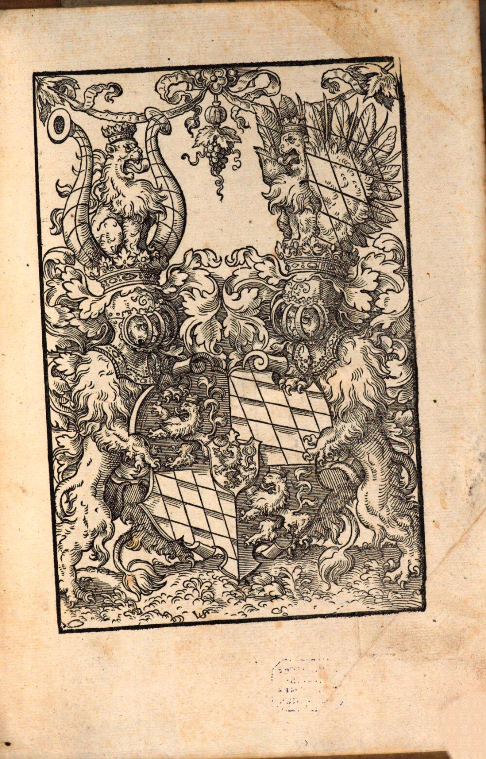 Image 00639