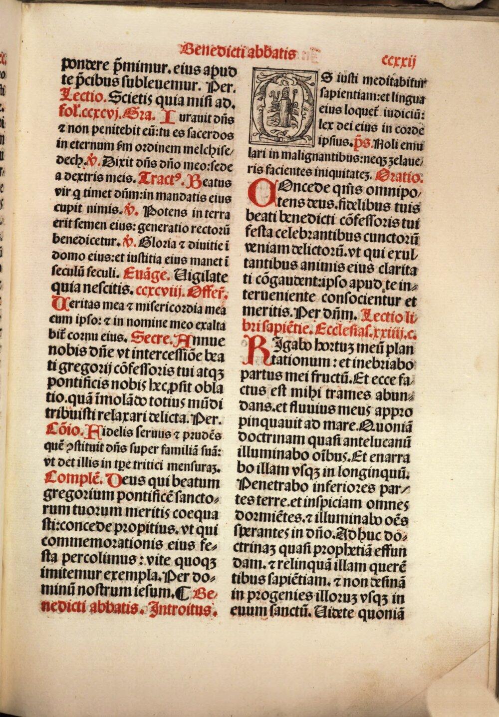 Image 00467