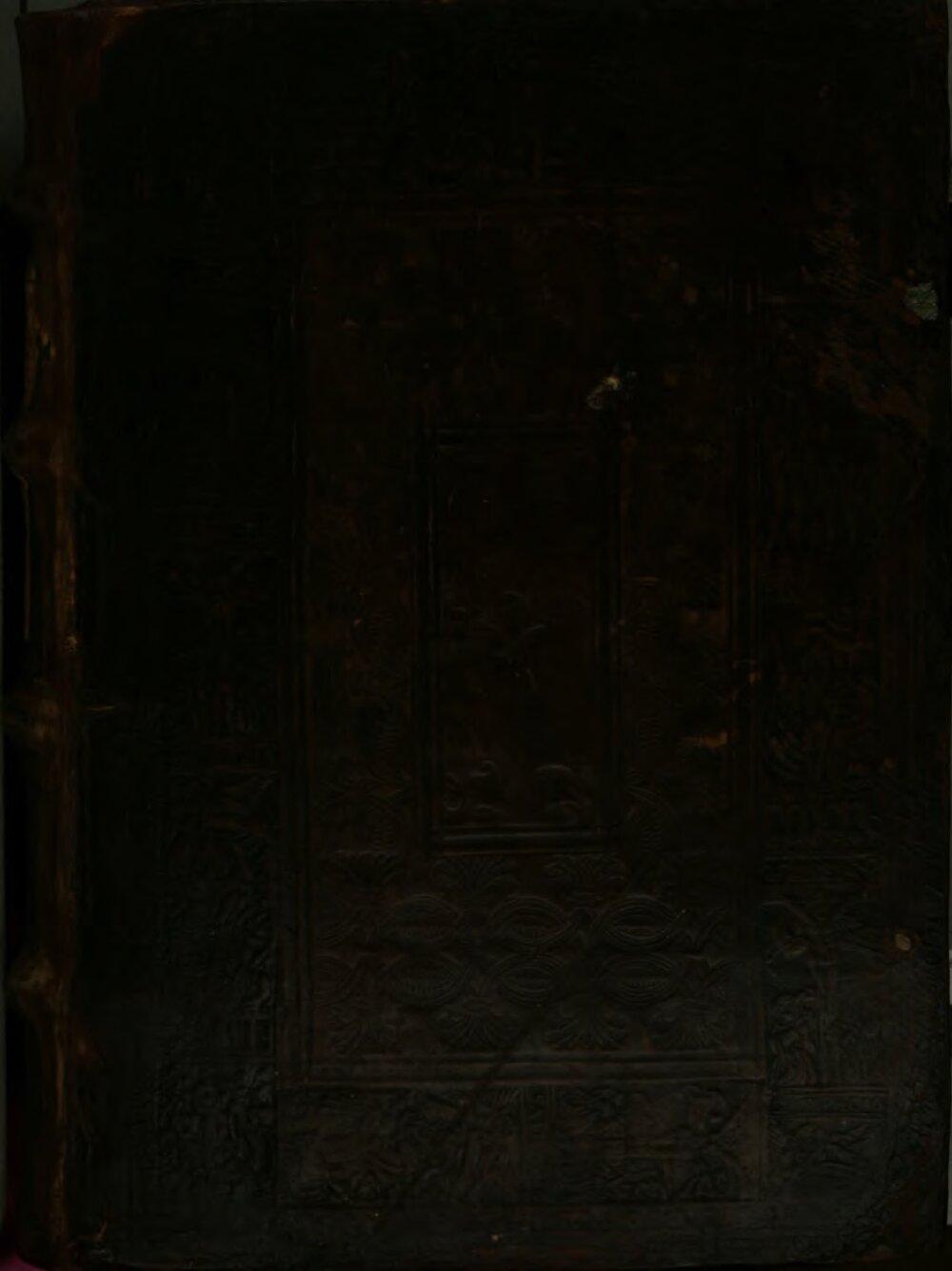 Image 00001