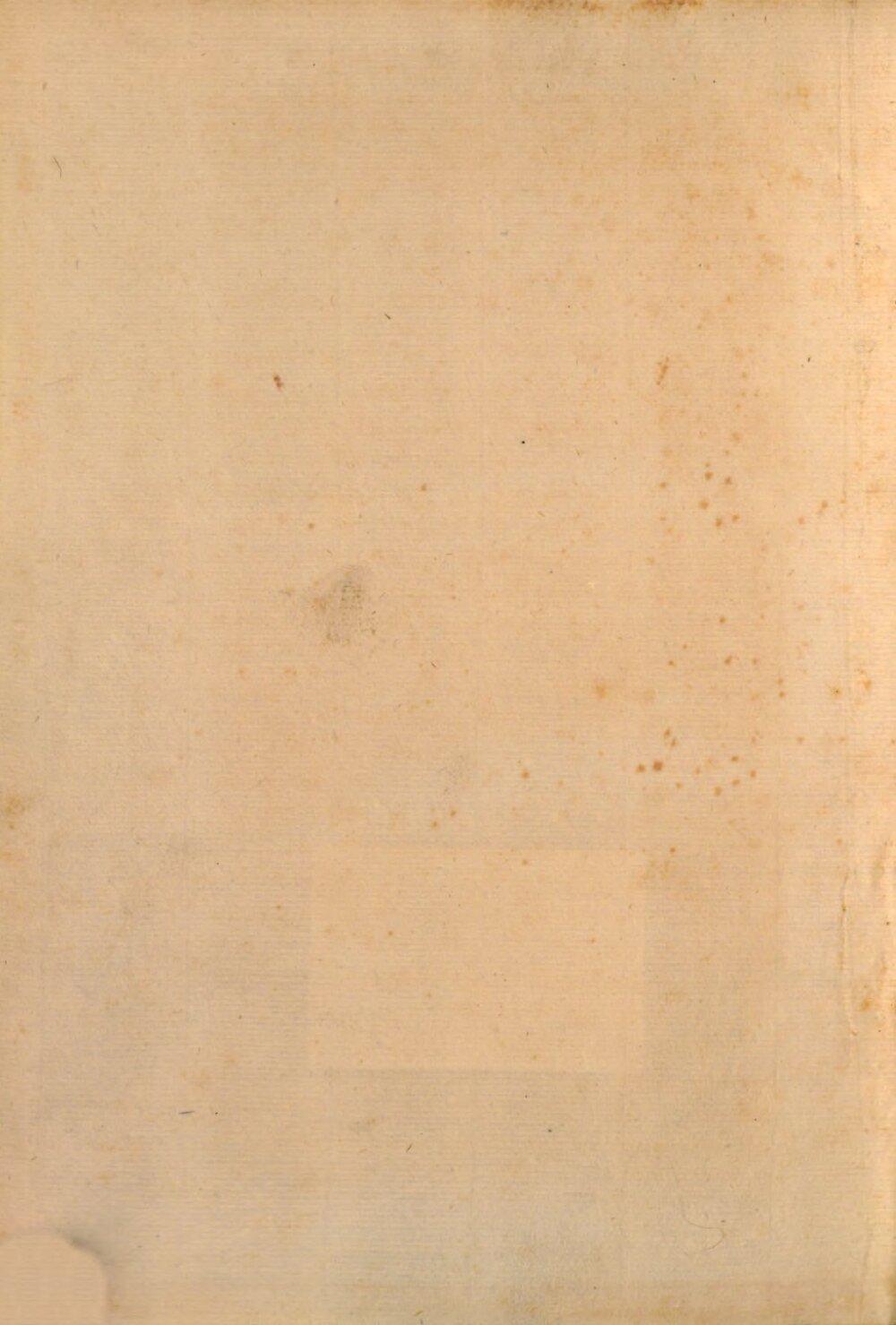 Image 00004