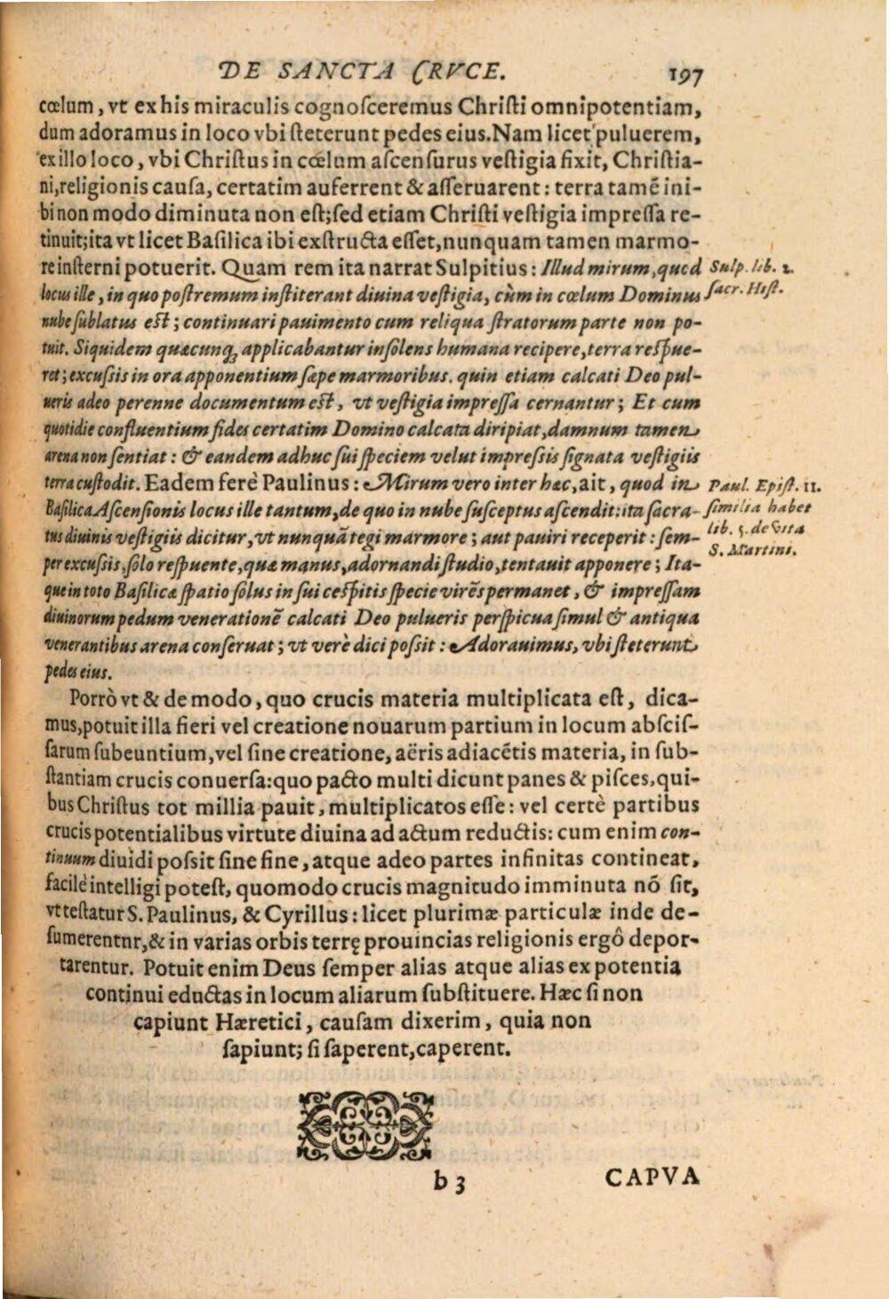 Image 00231