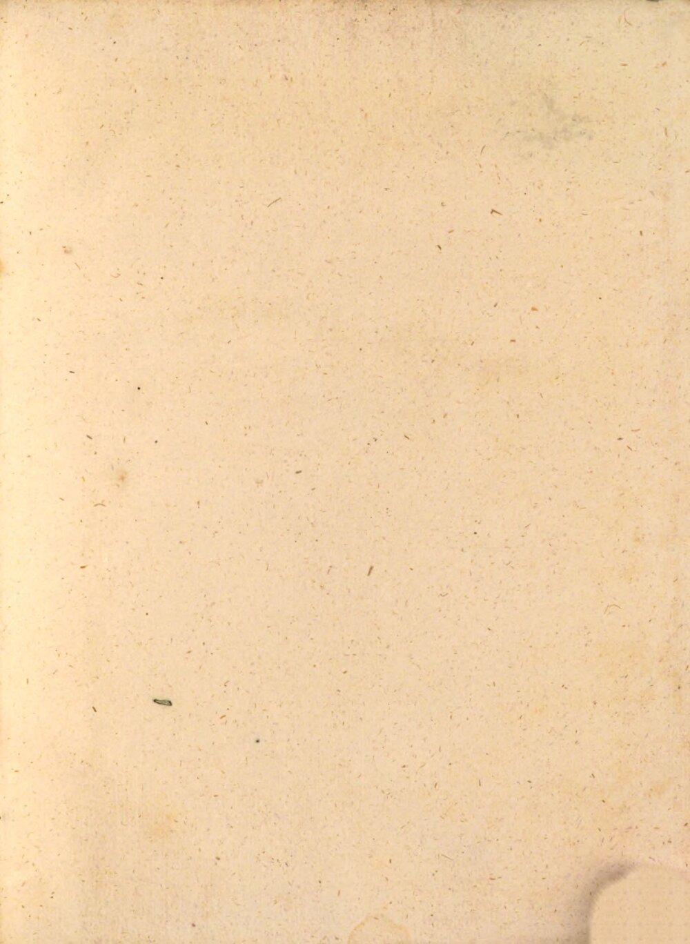Image 00673