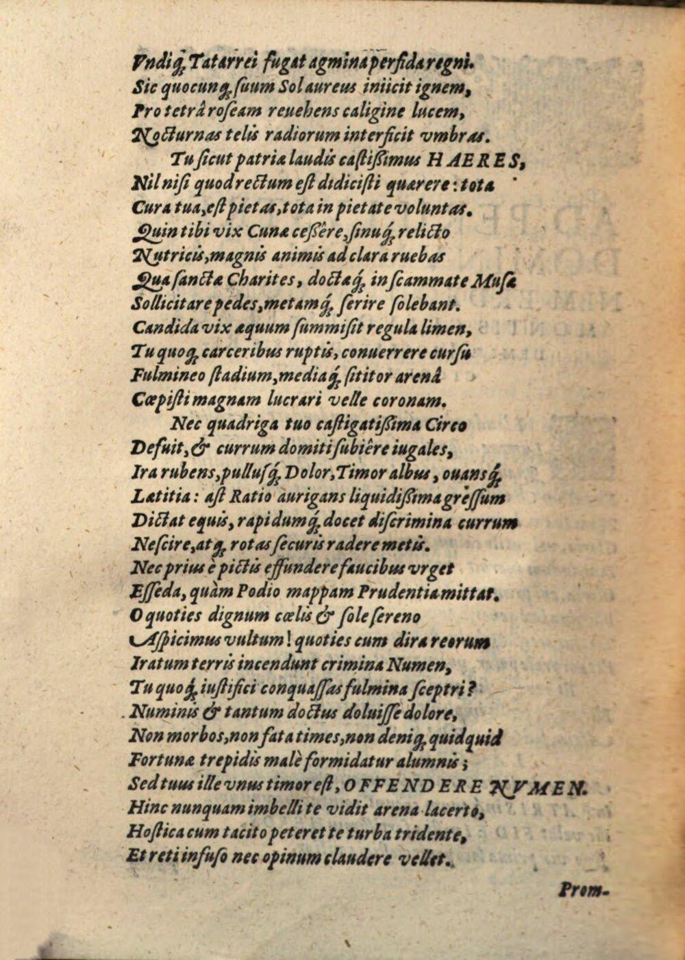 Image 00010
