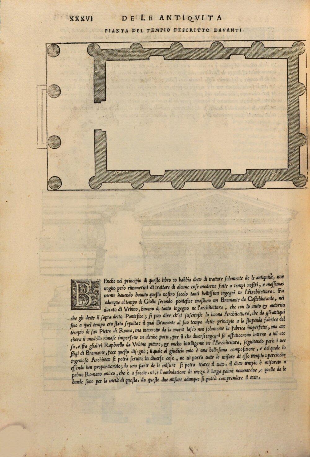 Image 00038