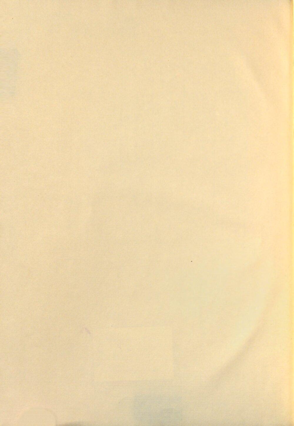 Image 00004