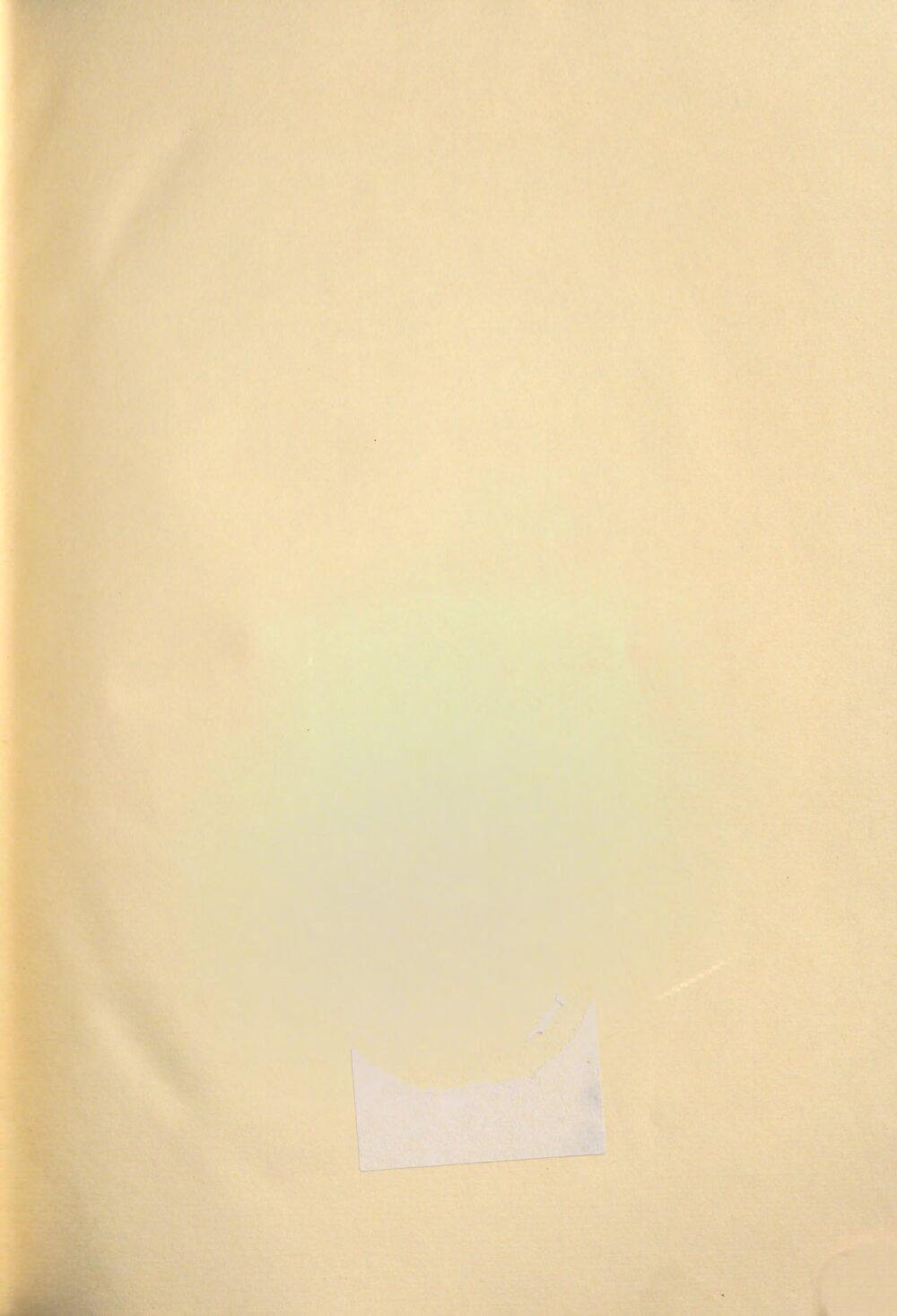 Image 00005