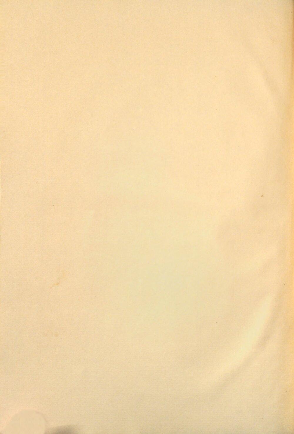 Image 00008