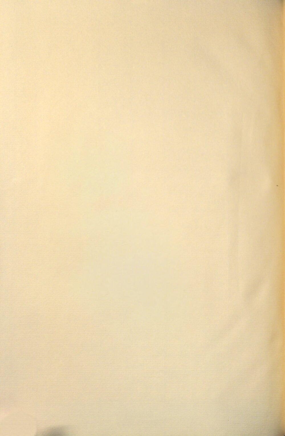 Image 00334