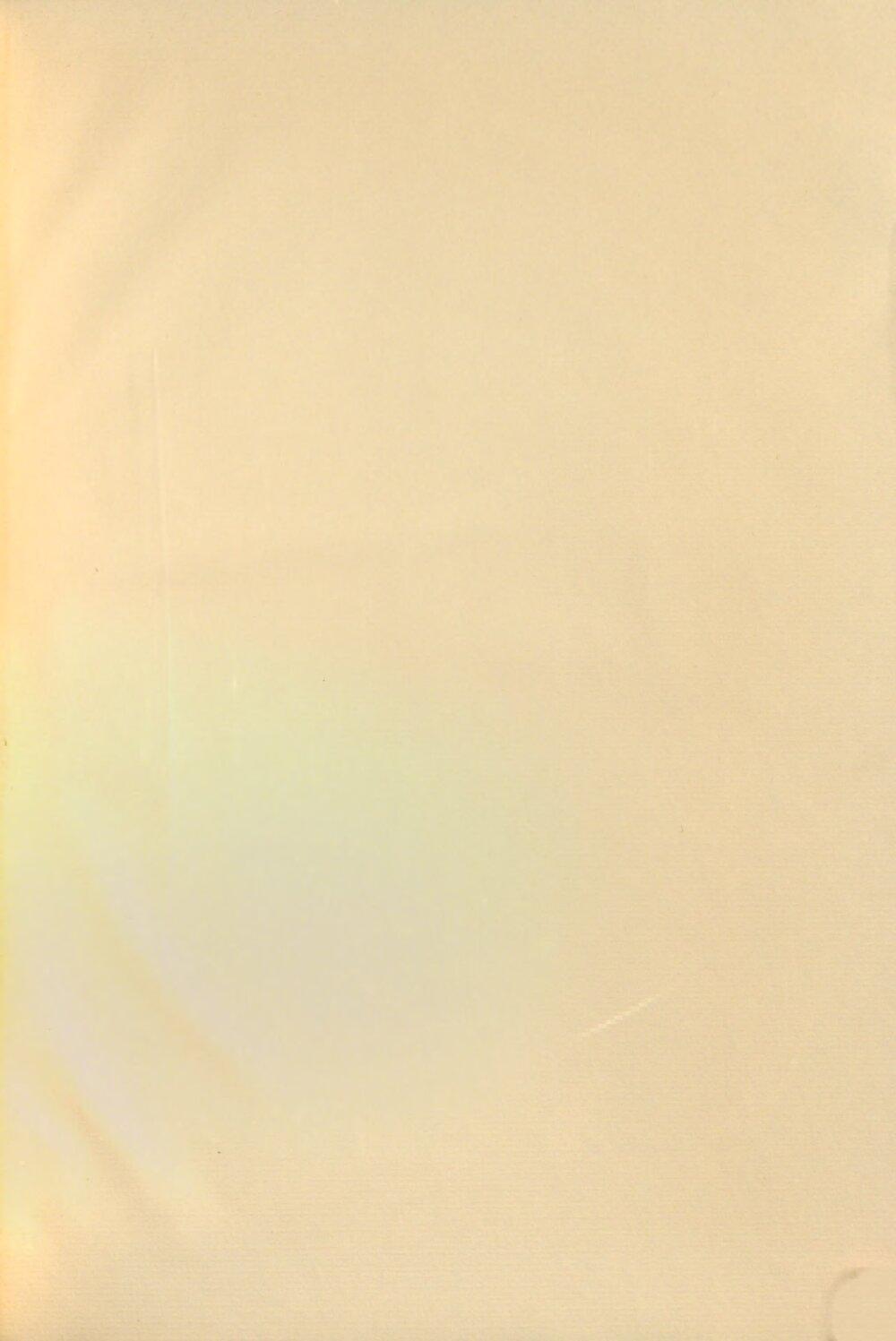 Image 00335