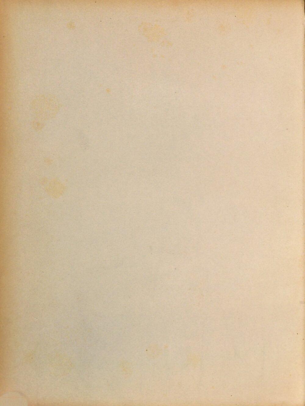 Image 00006