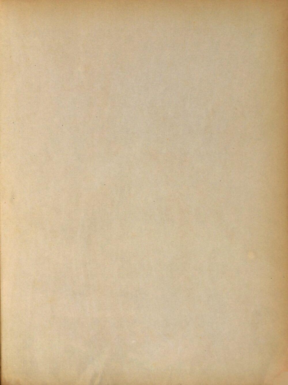 Image 00273