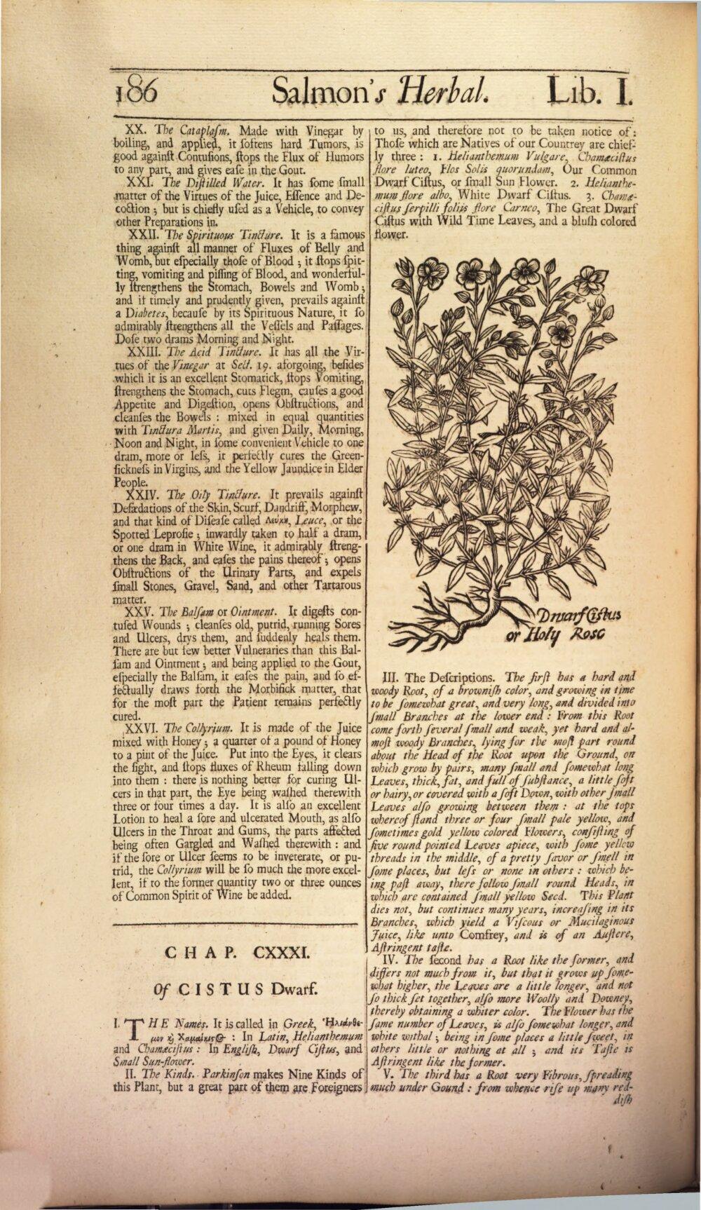 Image 00226