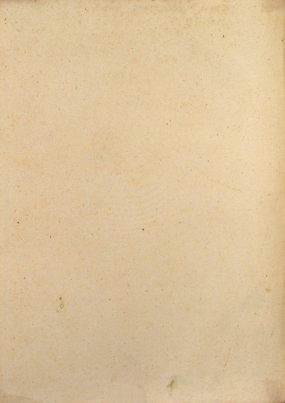 Image 00004