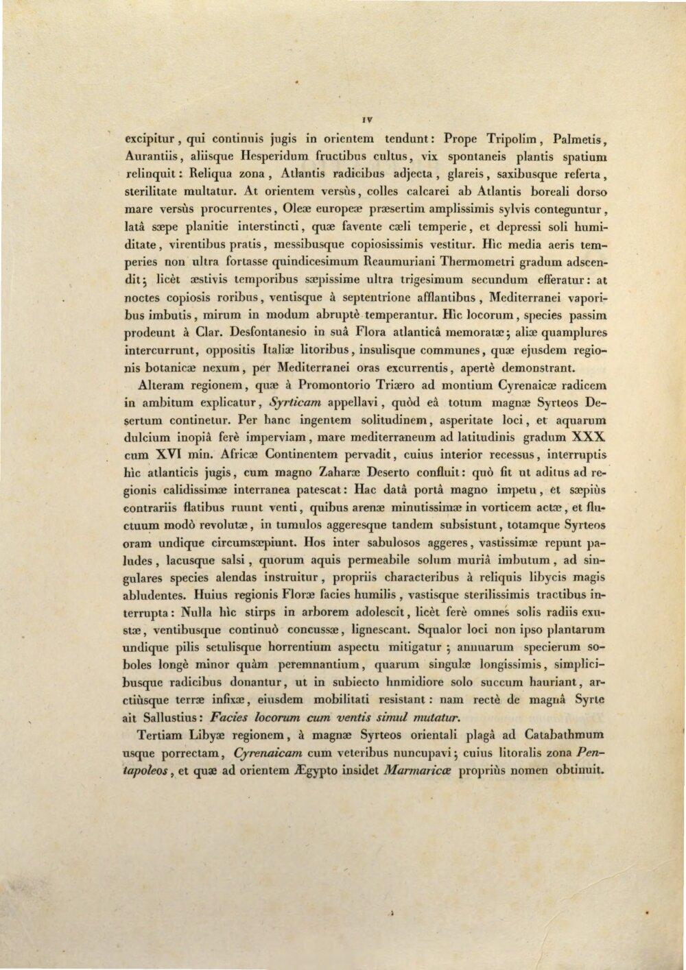 Image 00008