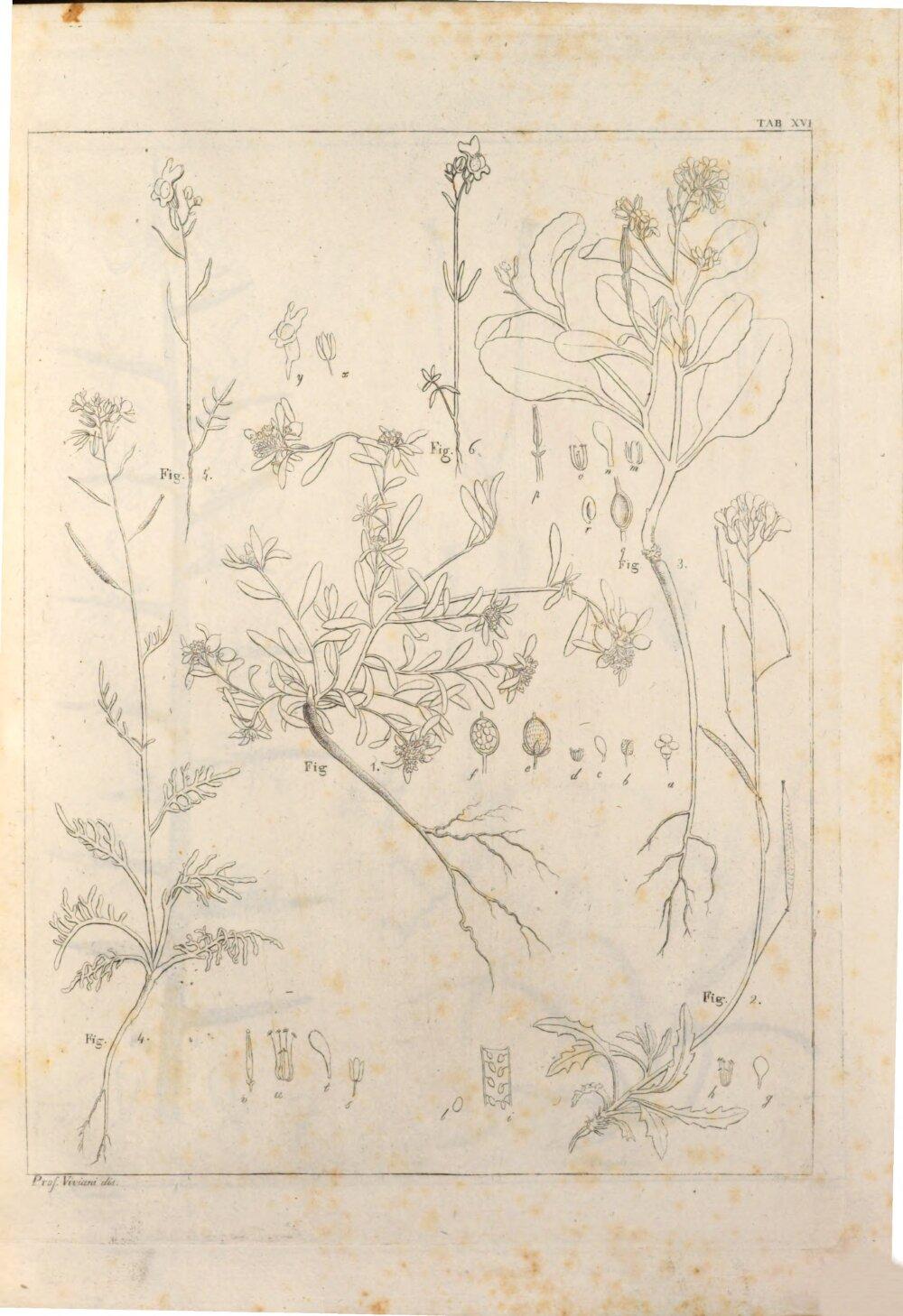 Image 00115