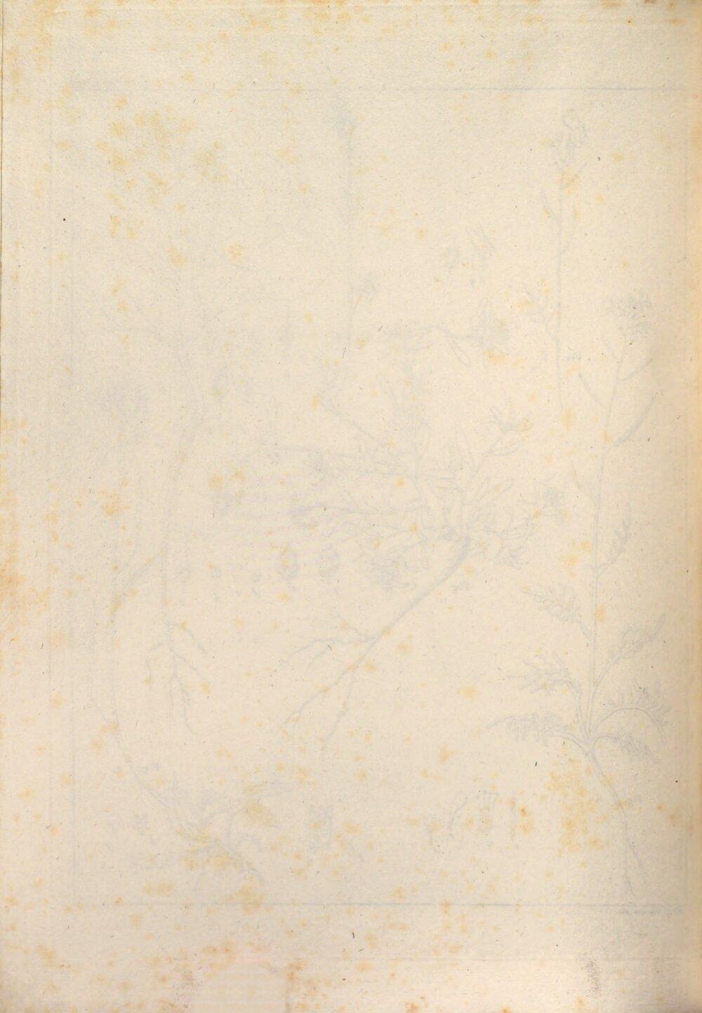 Image 00116