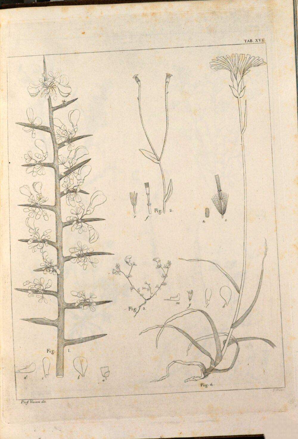 Image 00117