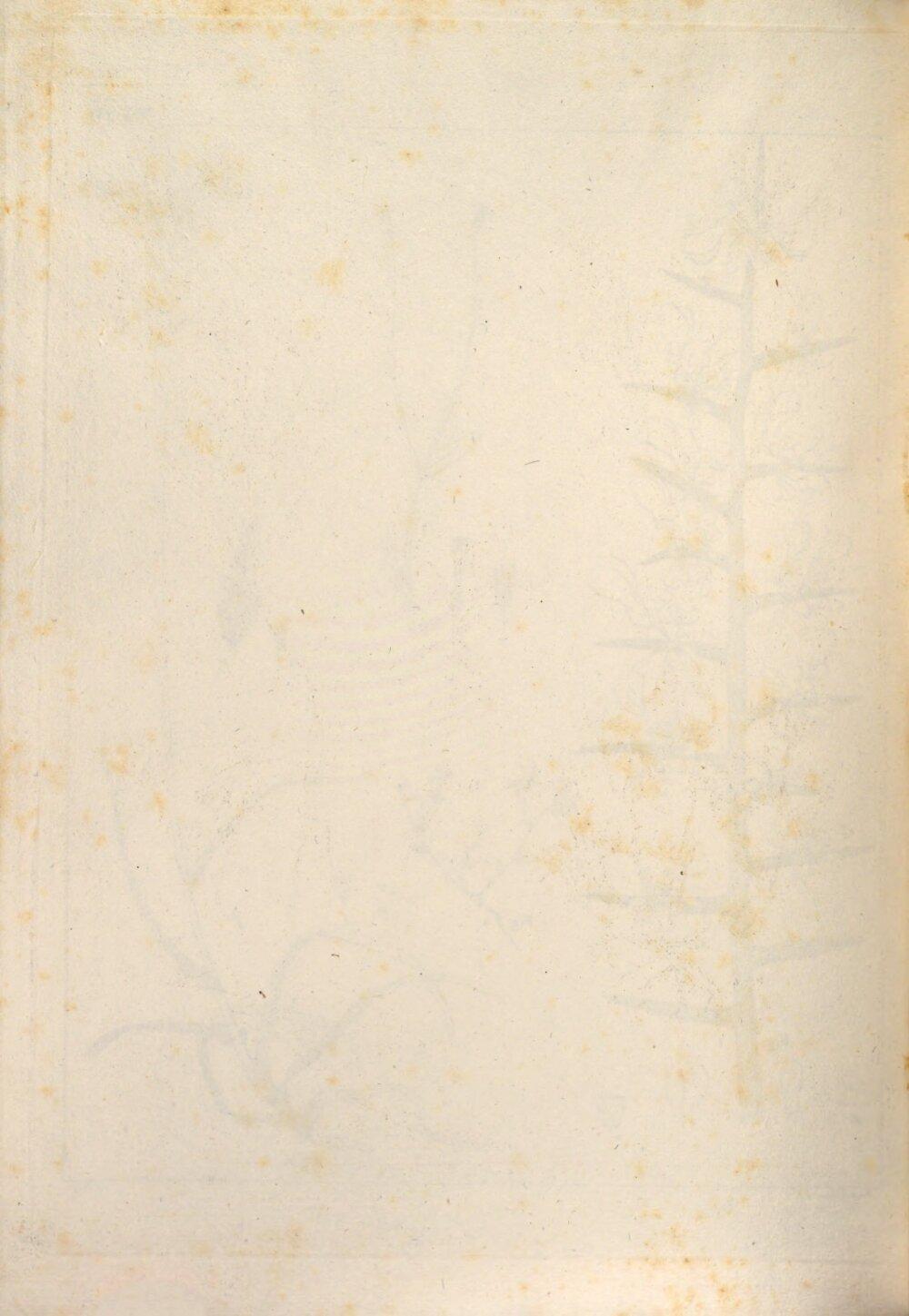 Image 00118