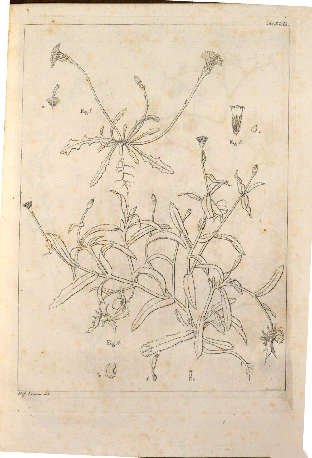 Image 00135