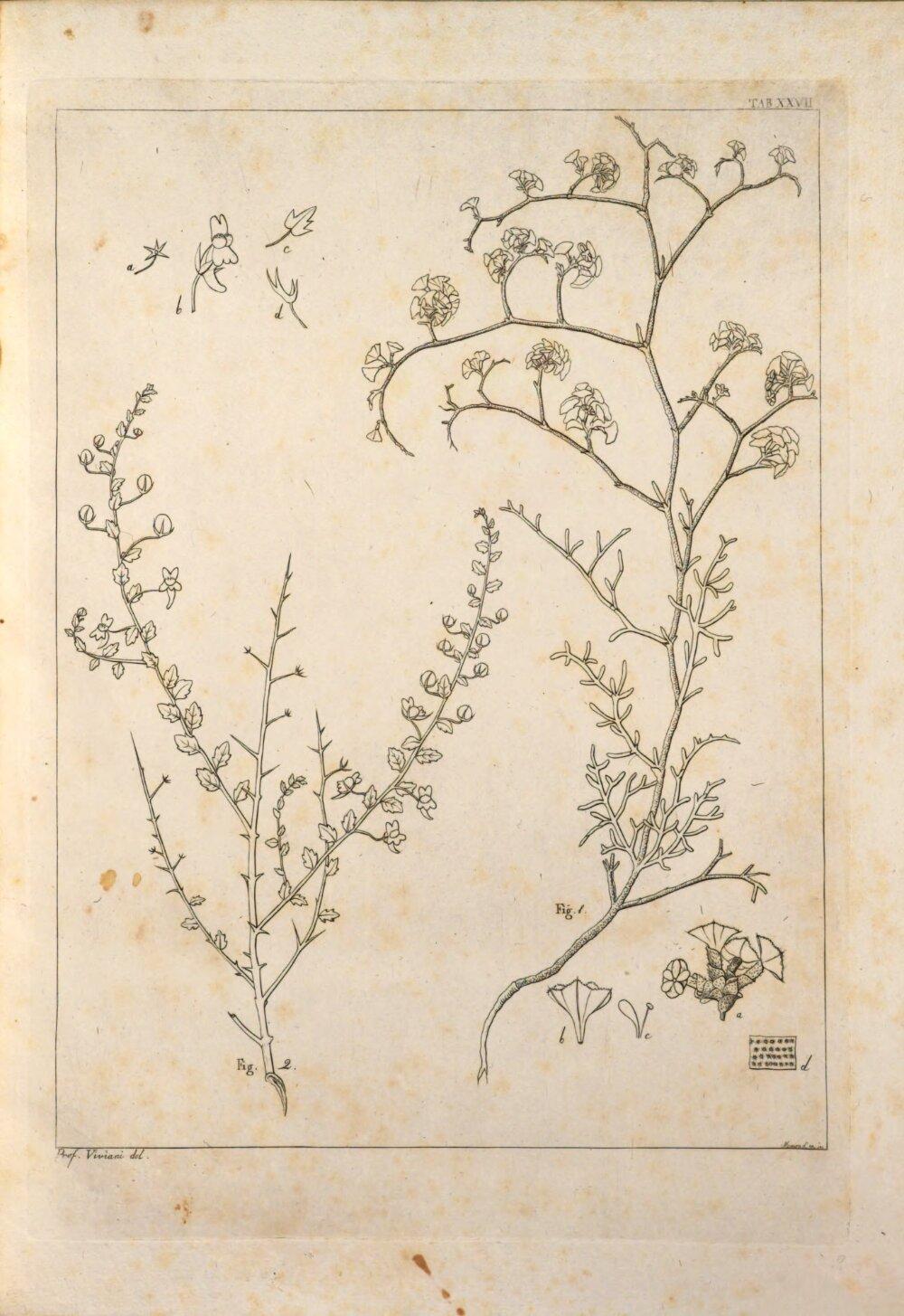 Image 00137