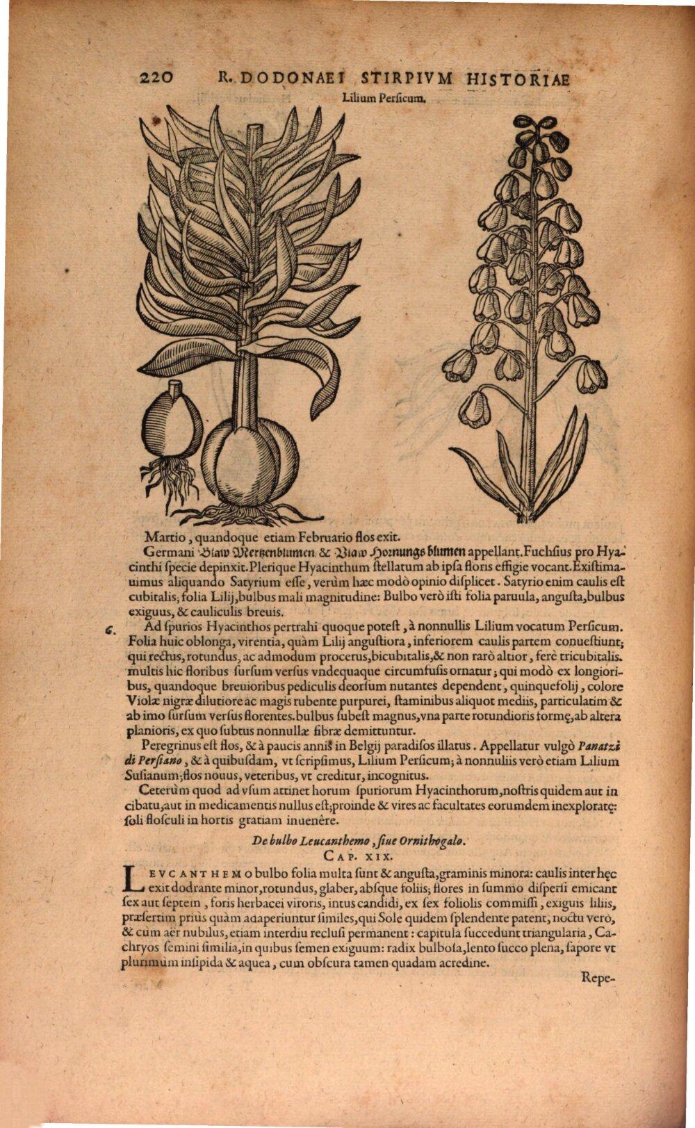 Image 00240