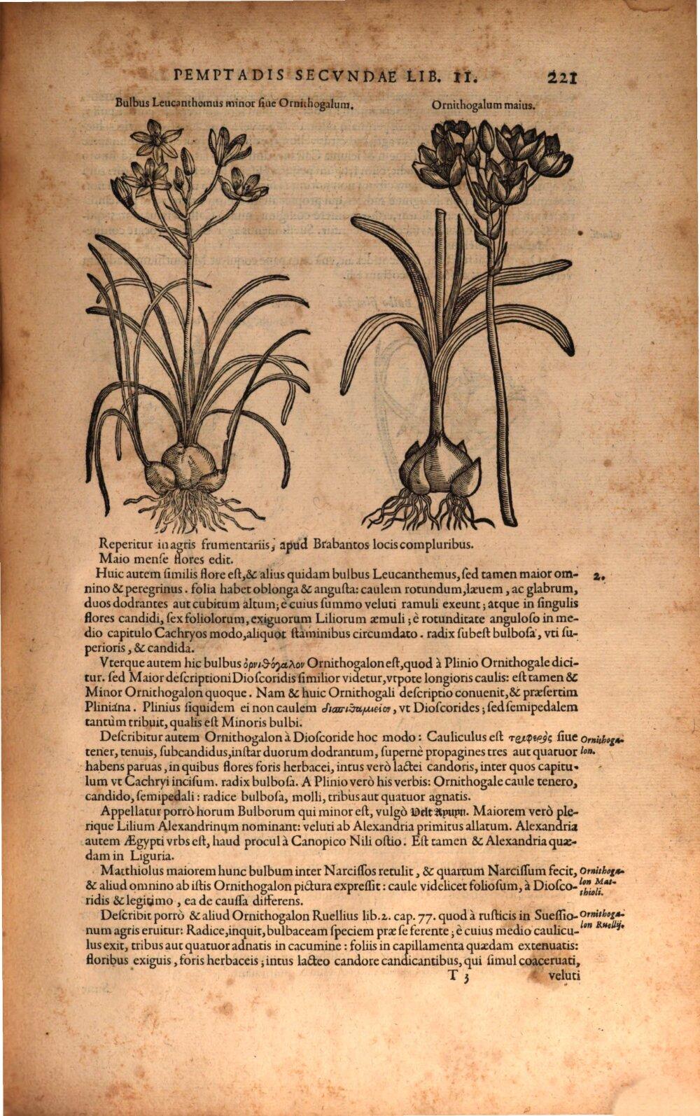 Image 00241