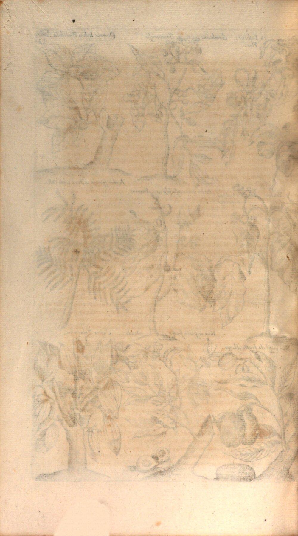 Image 00290