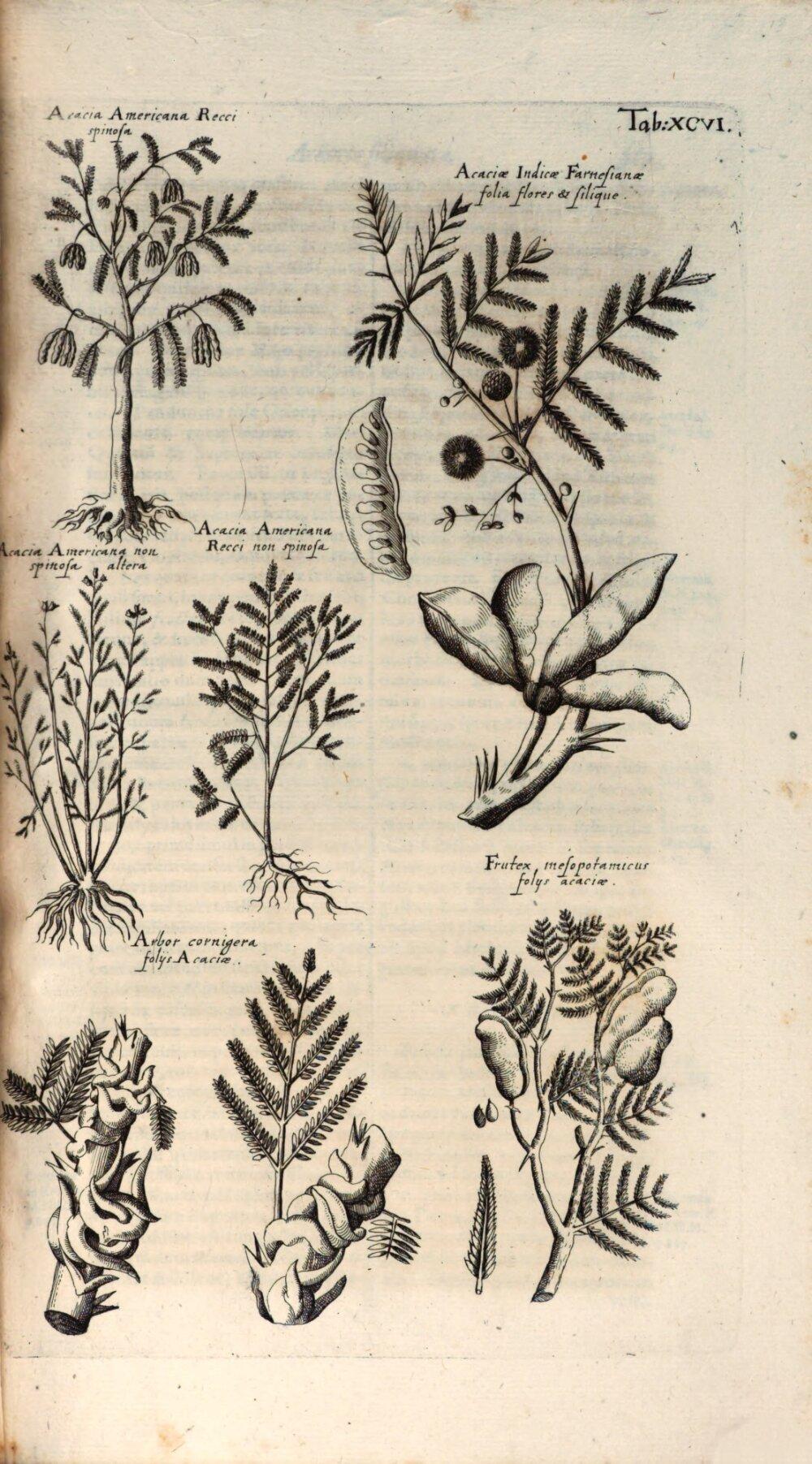Image 00587