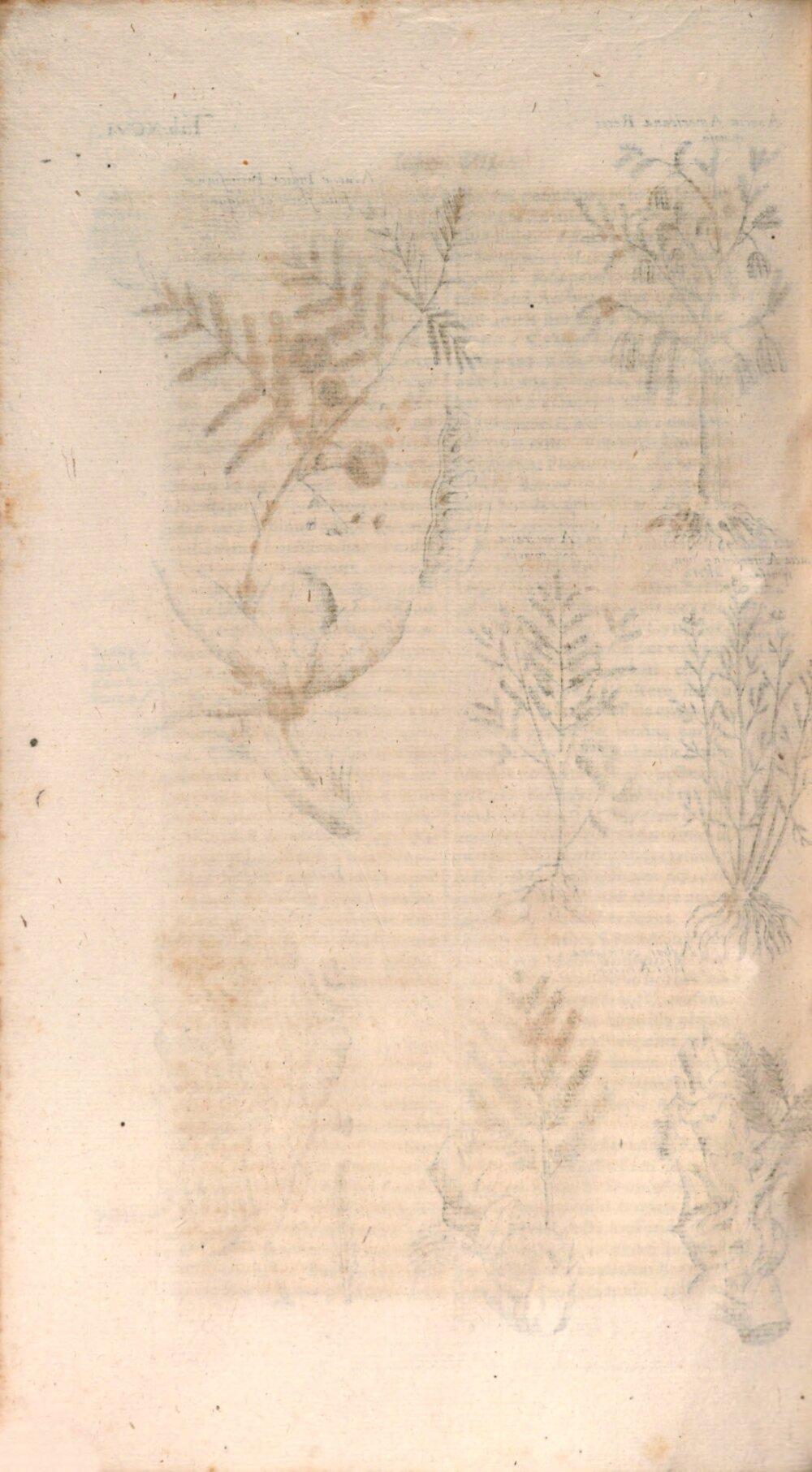 Image 00588