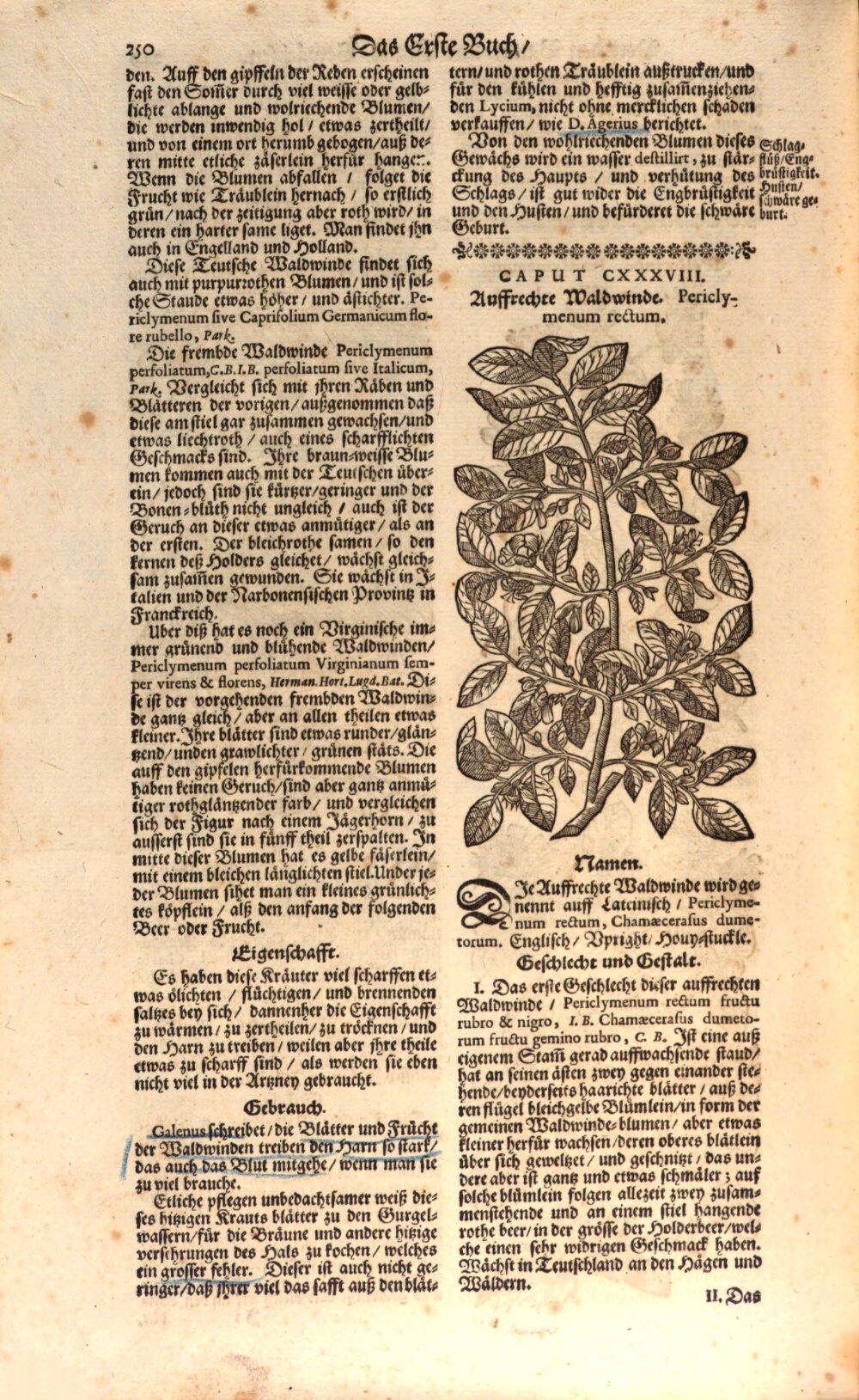 Image 00270