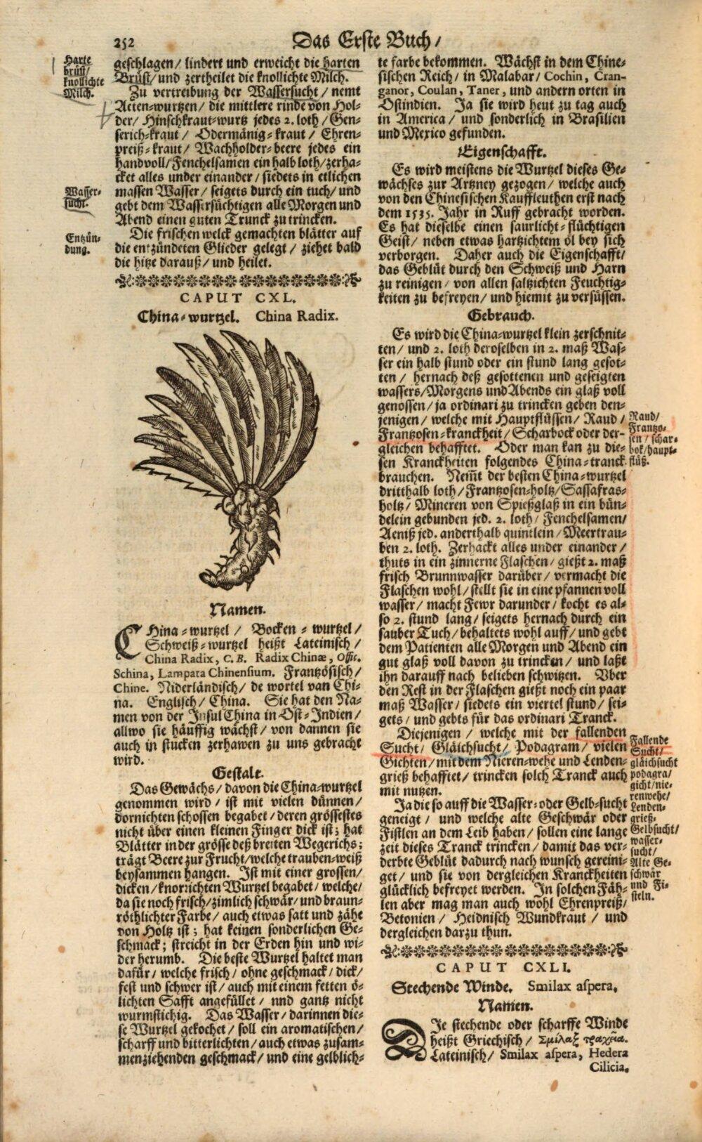 Image 00272
