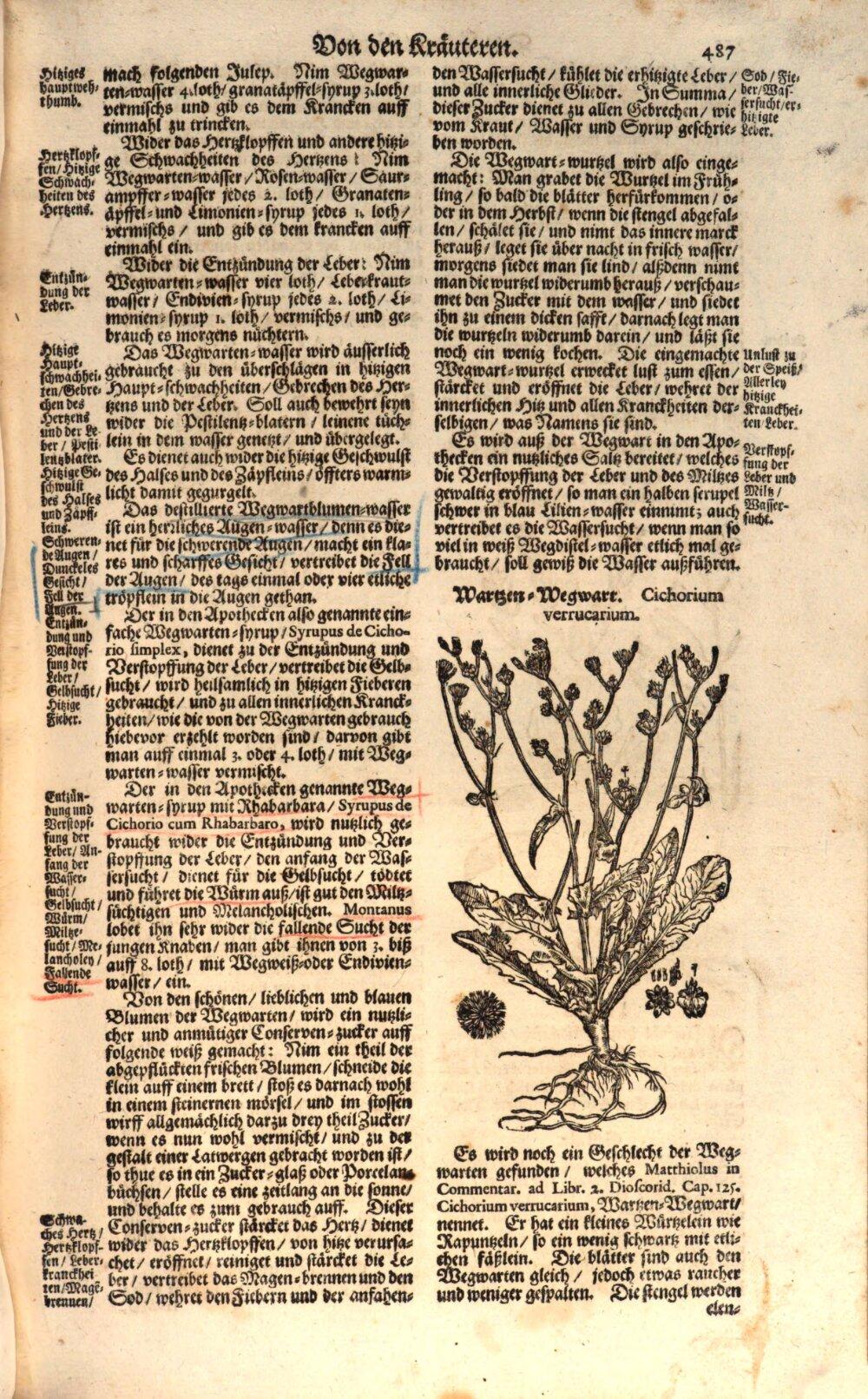 Image 00507
